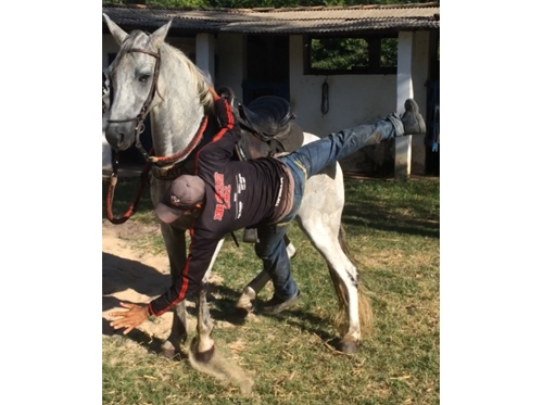 Faça isto pro cavalo não pular , evitando acidente 